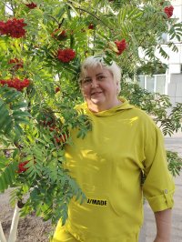 Рябцева Елена Алексеевна Заведующий  МБДОУ "Ромашка"